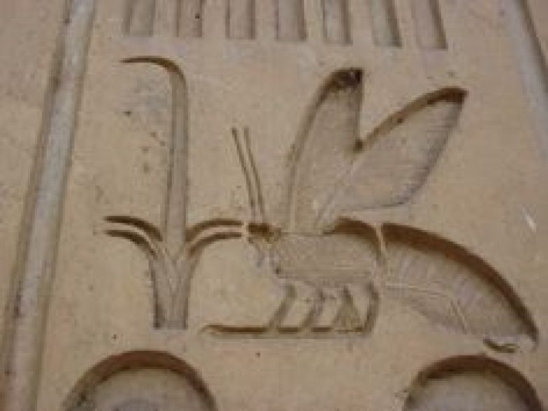 Bee and Reed "Symbol of Unity of Egypt"
