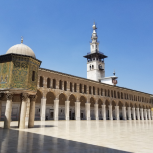 The Ayyubids