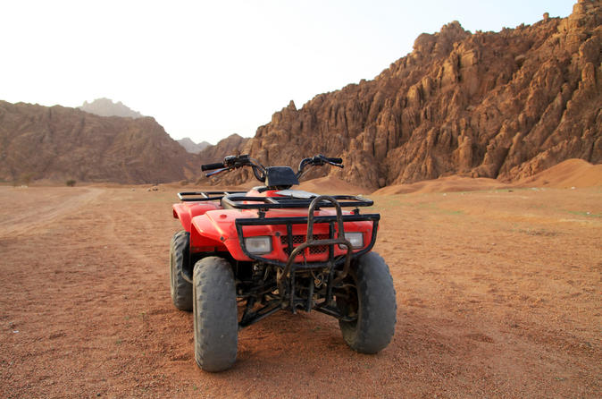 Quad biking with Camel ride and Bedouin dinner