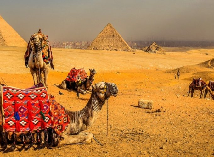 6 Days Trip to Luxor &  Cairo and Alexandria by flight