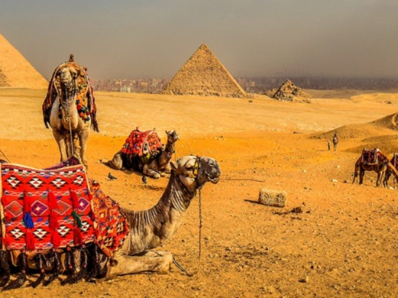 8 Days Trip to Luxor &  Cairo & Alexandria and Hurghada by flight