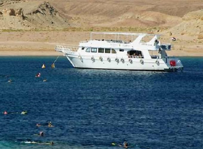Snorkeling Trip & Excursion from Safaga Port