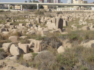 Bubastis Bubastis
