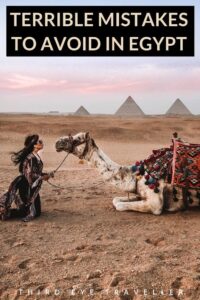 What Can You Not Bring to Egypt? What Can You Not Bring to Egypt?