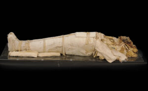 Neskhons Mummy
