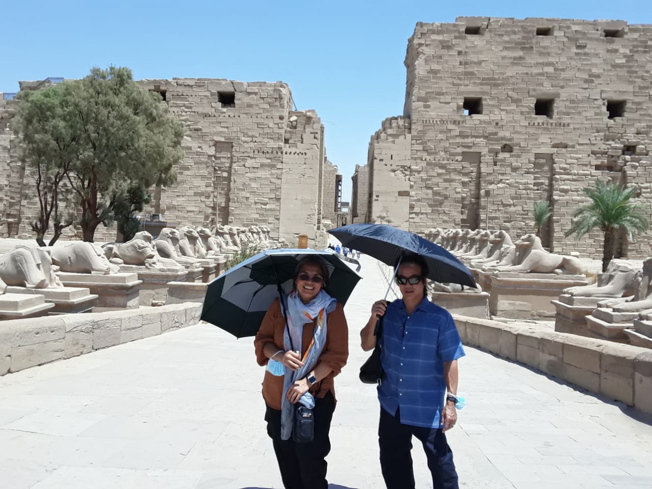 5 Days Trip to Egypt: Cairo & Luxor and Aswan by Sleeper Train
