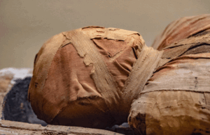 Siptah Mummy