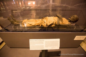 Usermontu Mummy