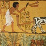 Ancient Egyptian Inventions in Ships, Trade & Farming