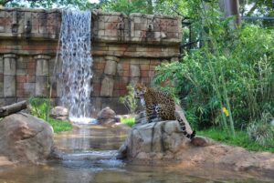 Alexandria Zoo
