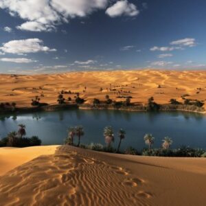 BAHARIYA OASIS